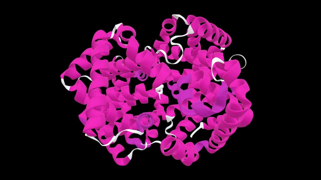 Protein model
