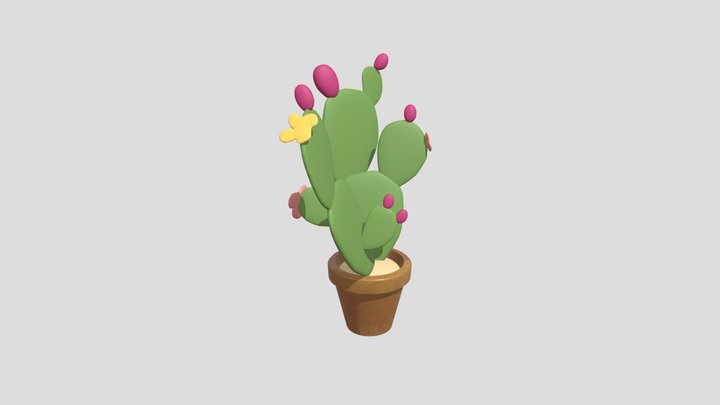 Prickly Pear Cactus Pot