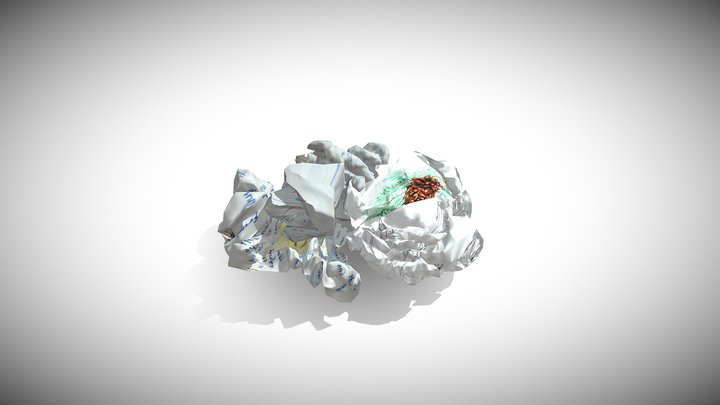 Crumbled Paper 3D Model