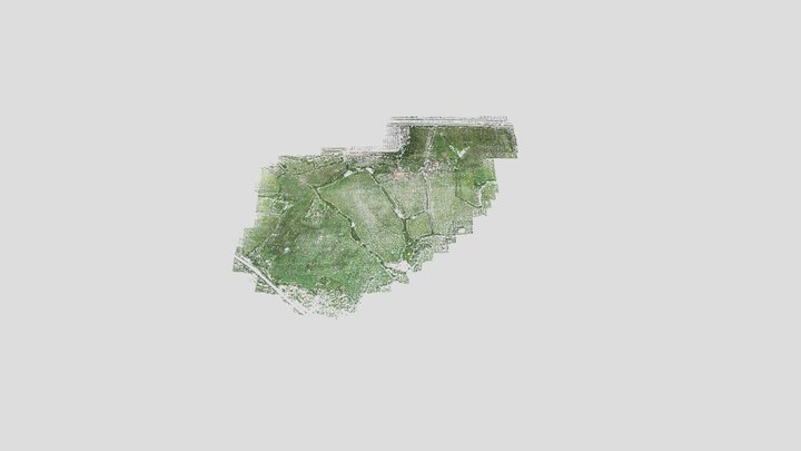 Florinas nuvola densa 3D Model