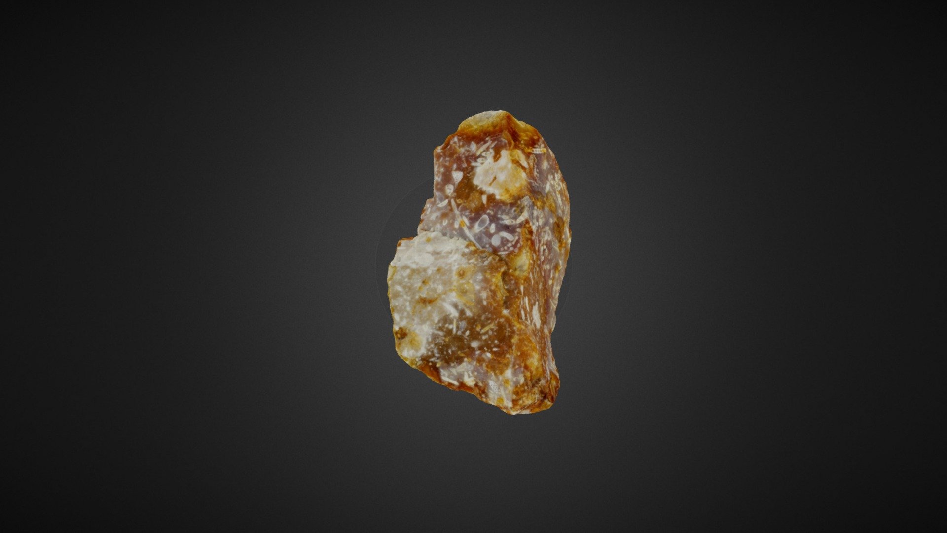 Rock containing fossils - no shadows