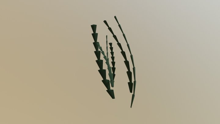 Epiphyllum 3D Model