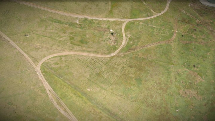 Late summer grassland and track – Modello 3D gratuito STL