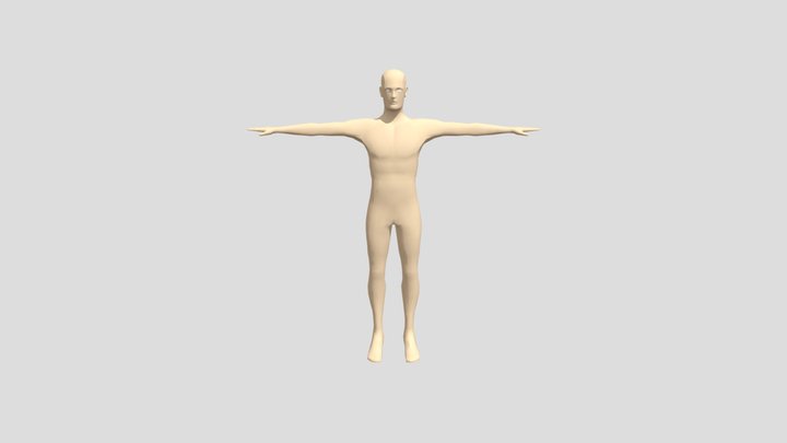 Human 3D Model
