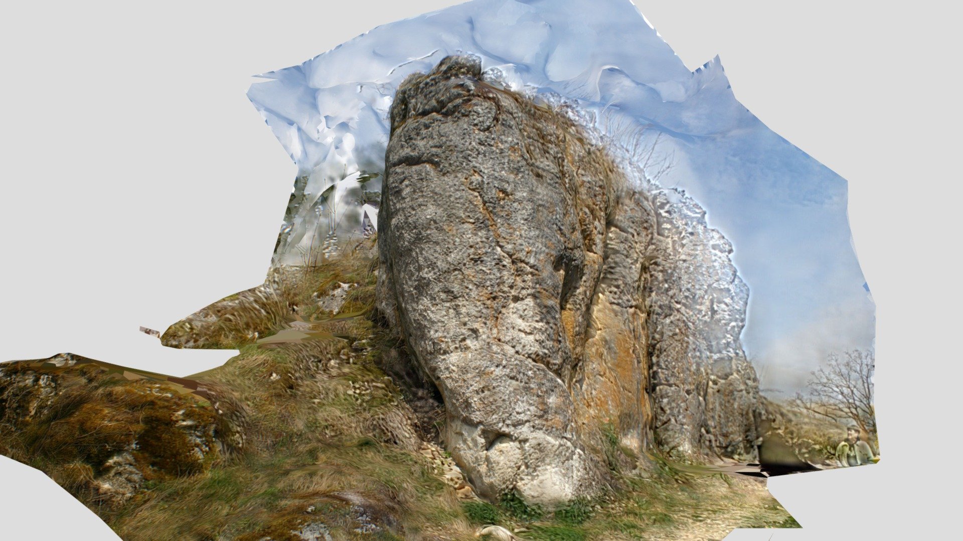 Petrified mammoth