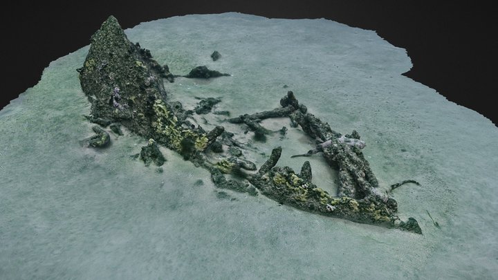 SS Bonnie Dundee (1877-1879) Shipwreck (Bow) 3D Model