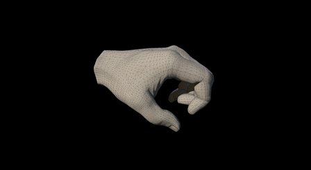 Hand Left 3D Model