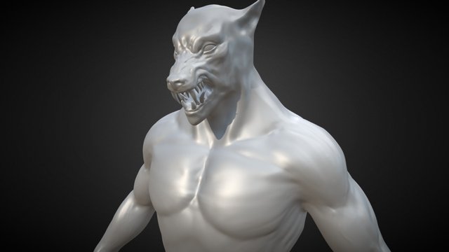 Werewolf Test 3D Model