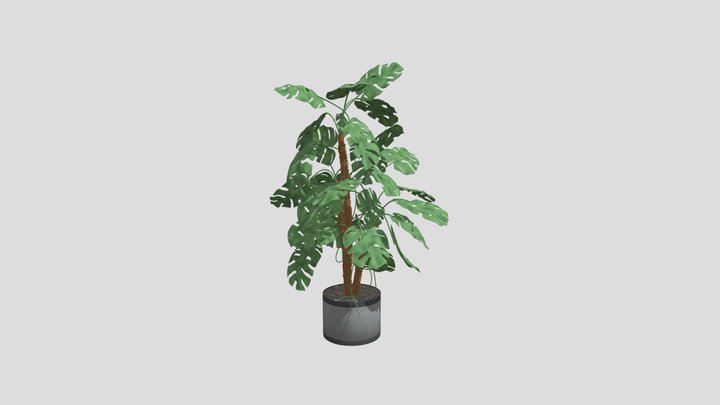 Stylish Green Plant 3D Model | Modern Home Decor – Free 3D Model STL