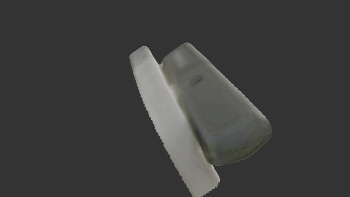 Remote201 3D Model