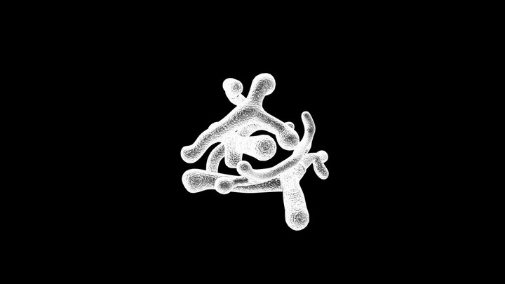 Bifidobacterium Longum Bacteria 3D Model
