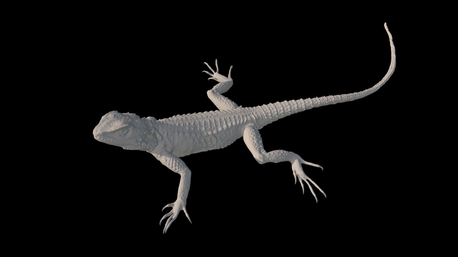 Model 59B - Sling tailed Agama - Mesh only