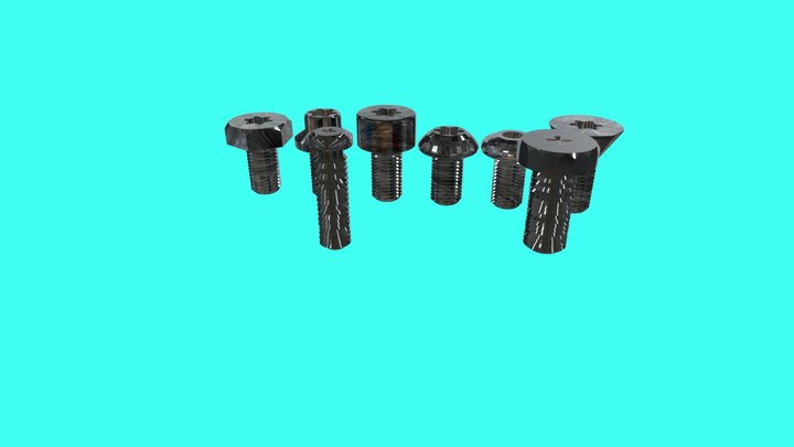 Screws with phillips and torx bit type 3D Model