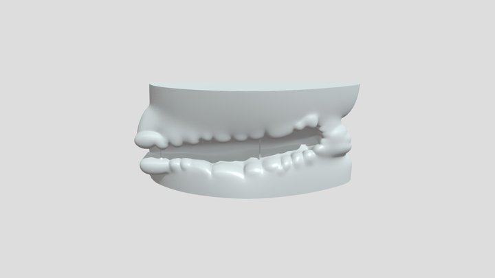 Mouth with saliva 3D Model
