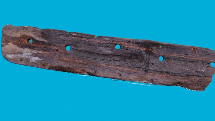Timber 23 3D Model
