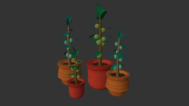 Potted Plants 3D Model