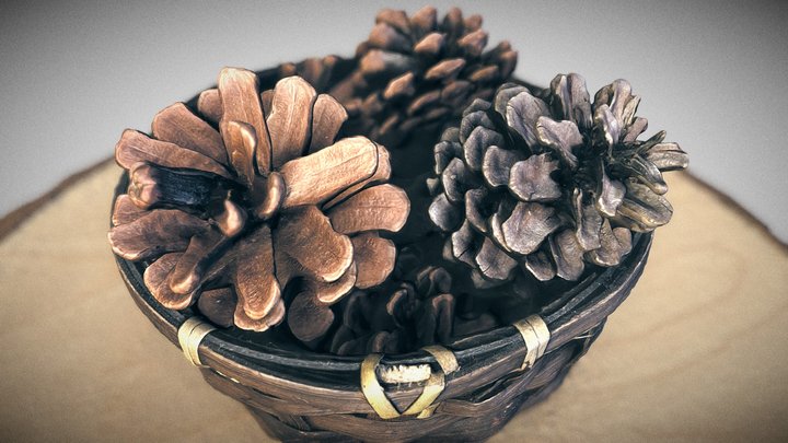 Sample Model 3D Model