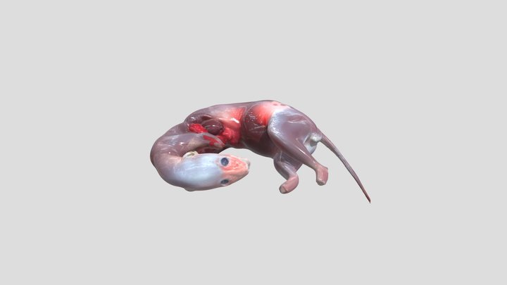 мясо ласки тушка – Kostenloses 3D-Modell STL