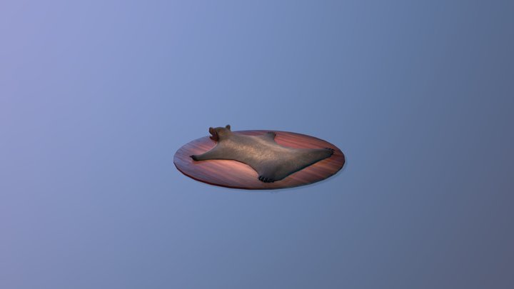 Bearskin Rug 3D Model