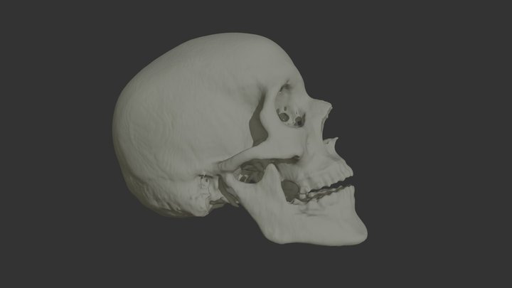 SKULL 9466F 3D Model