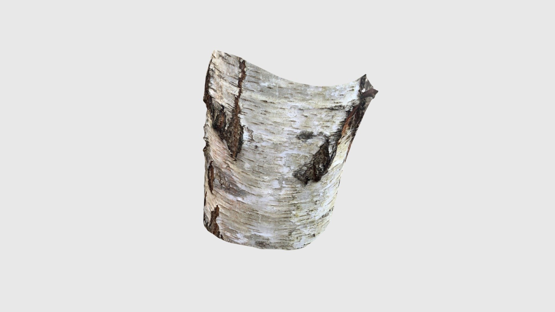 Birch2203250848