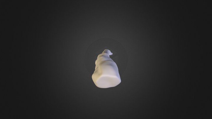 High Res Arm 3D Model