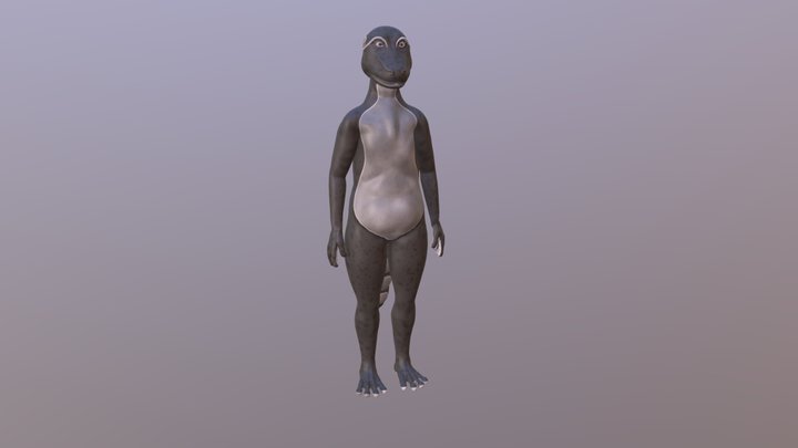 Aash 3D Model