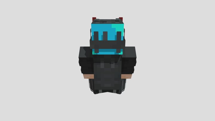 Skin 3D Model