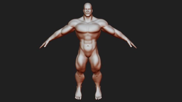 BodyBuilder v2 3D Model