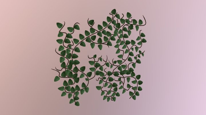 Vines 3D Model