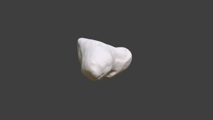 Left Scaphoid 3D Model
