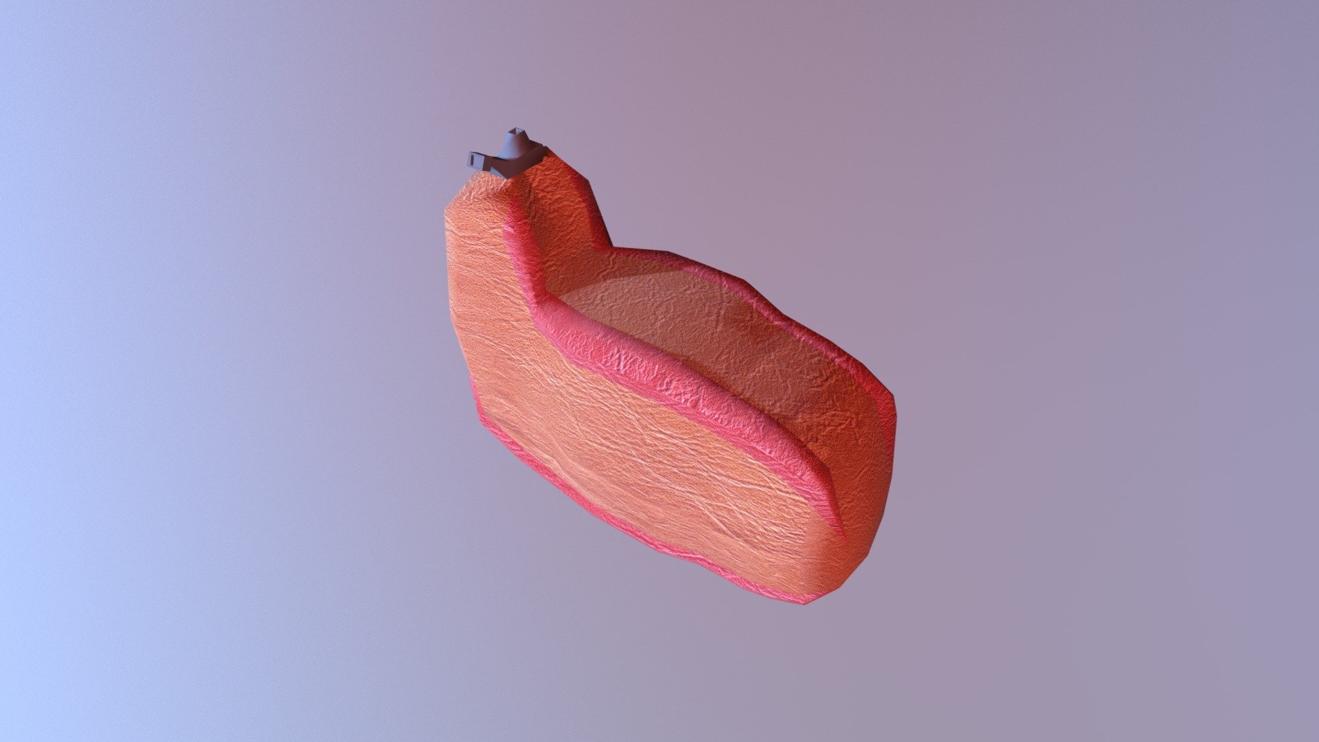 Leather Canteen