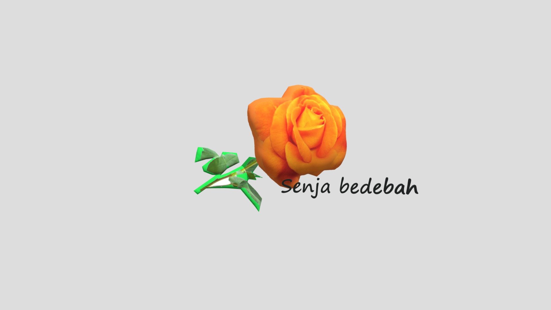 Senja
