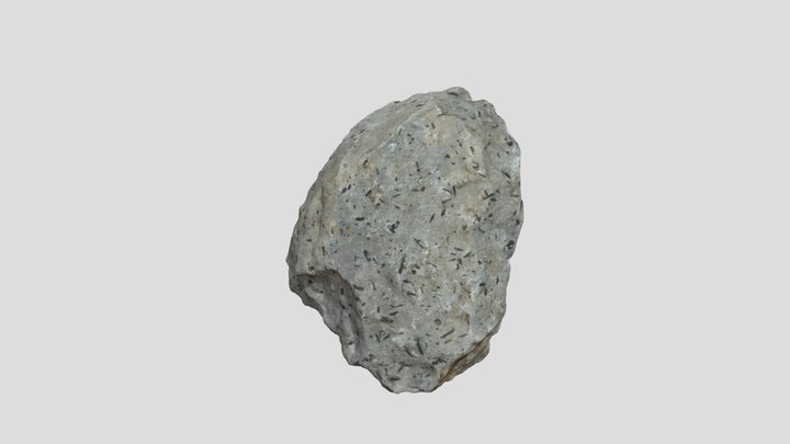 Dacite 3D Model