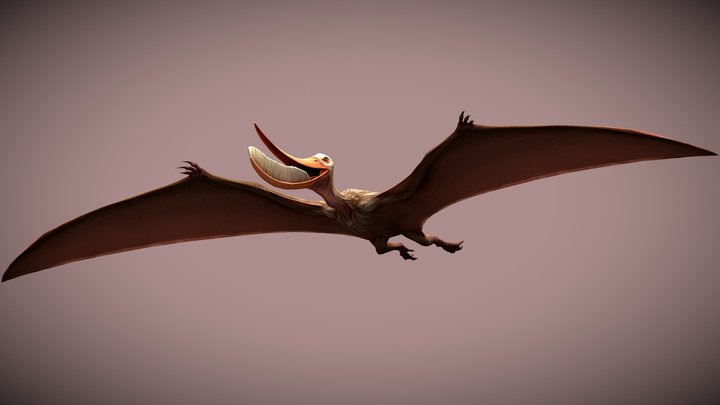 JW: PO Pterodaustro – Free 3D Model STL