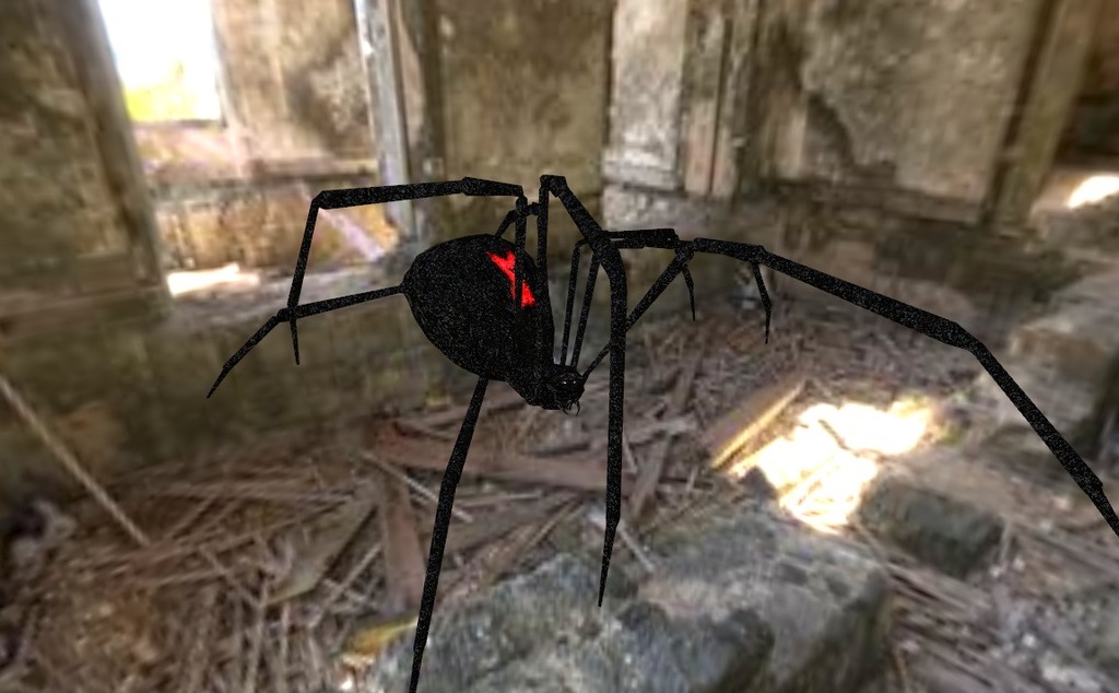 Spider