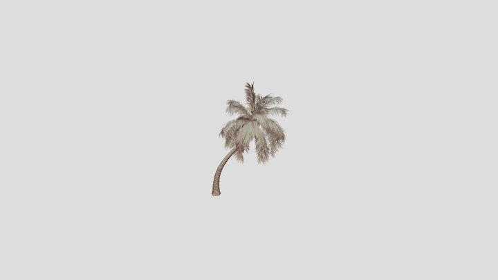 Coconut Palm 3D Model