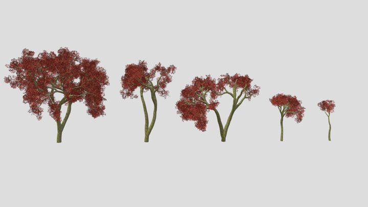 Cottonwood Tree Pack