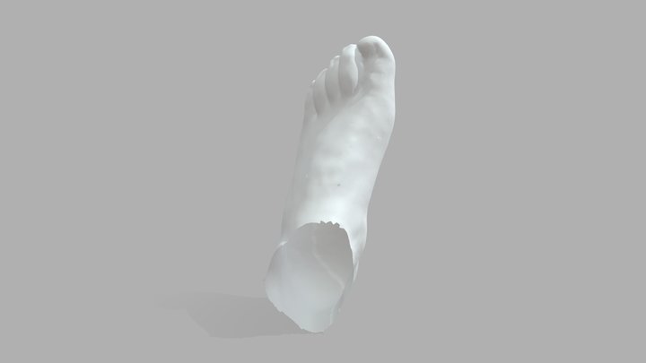 Bodyform3D 3D Model