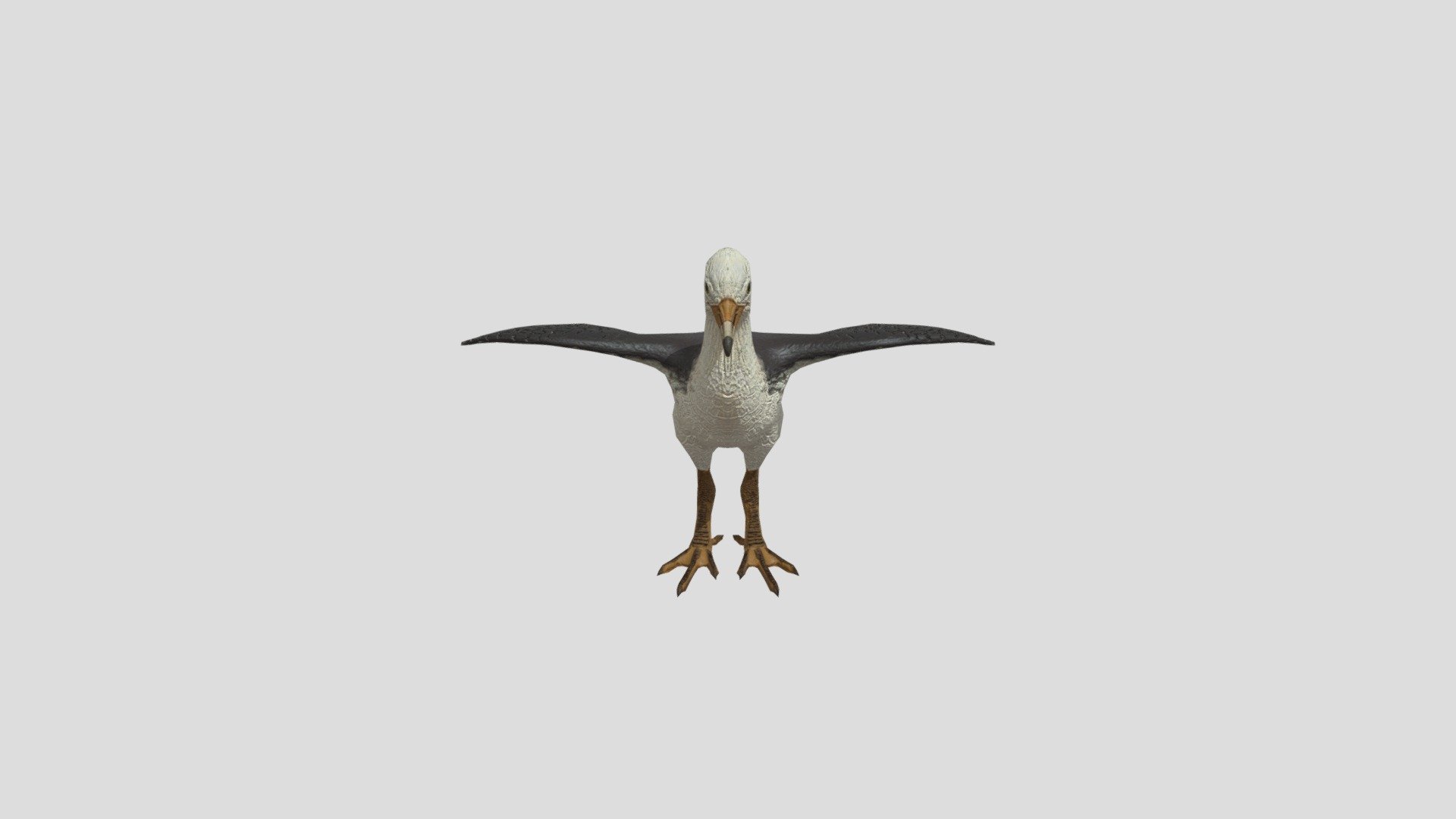 HD BB Bird - Download Free 3D model by Modbuff (@CGreature) [c1e3255 ...