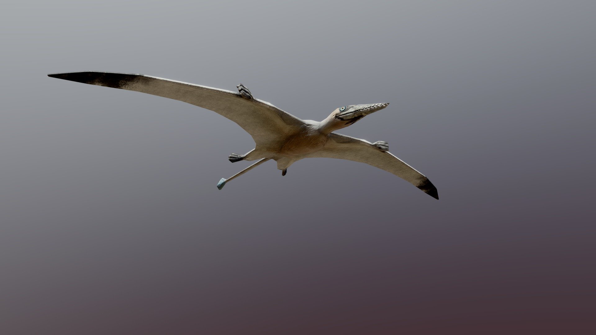 Low-poly Rhamphorhynchus idle - Buy Royalty Free 3D model by Robear ...