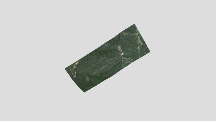 Tenney v2 3D Model