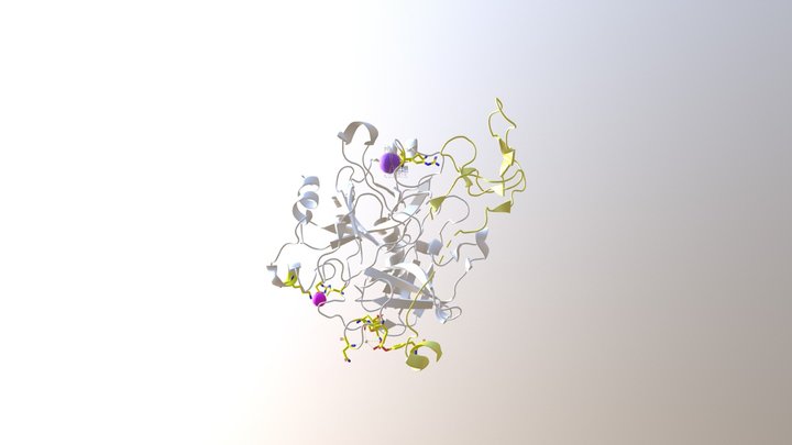 Thrombin-Sulfohirudin: Protein-Drug Interactions 3D Model