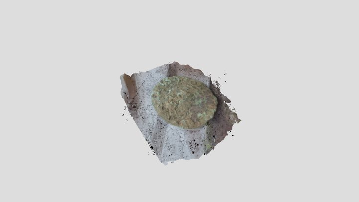 model 3D Model