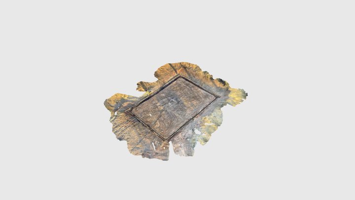 Back Yard Pre Slab 3D Model