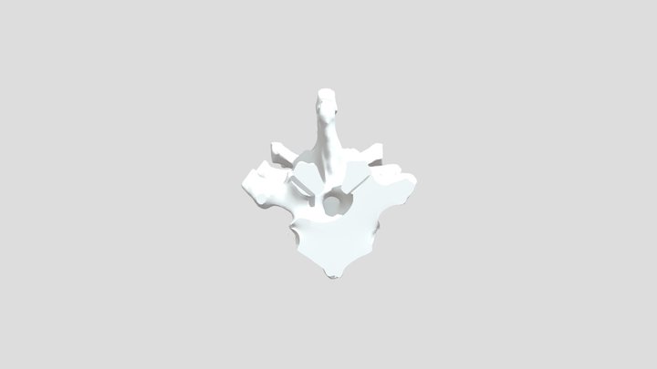 Gerinc 3D Model