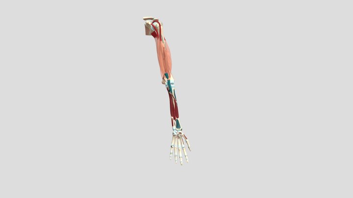 Kadai A (Version2) 3D Model
