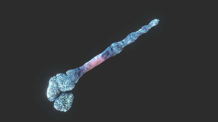 Fossilized Wand 3D Model