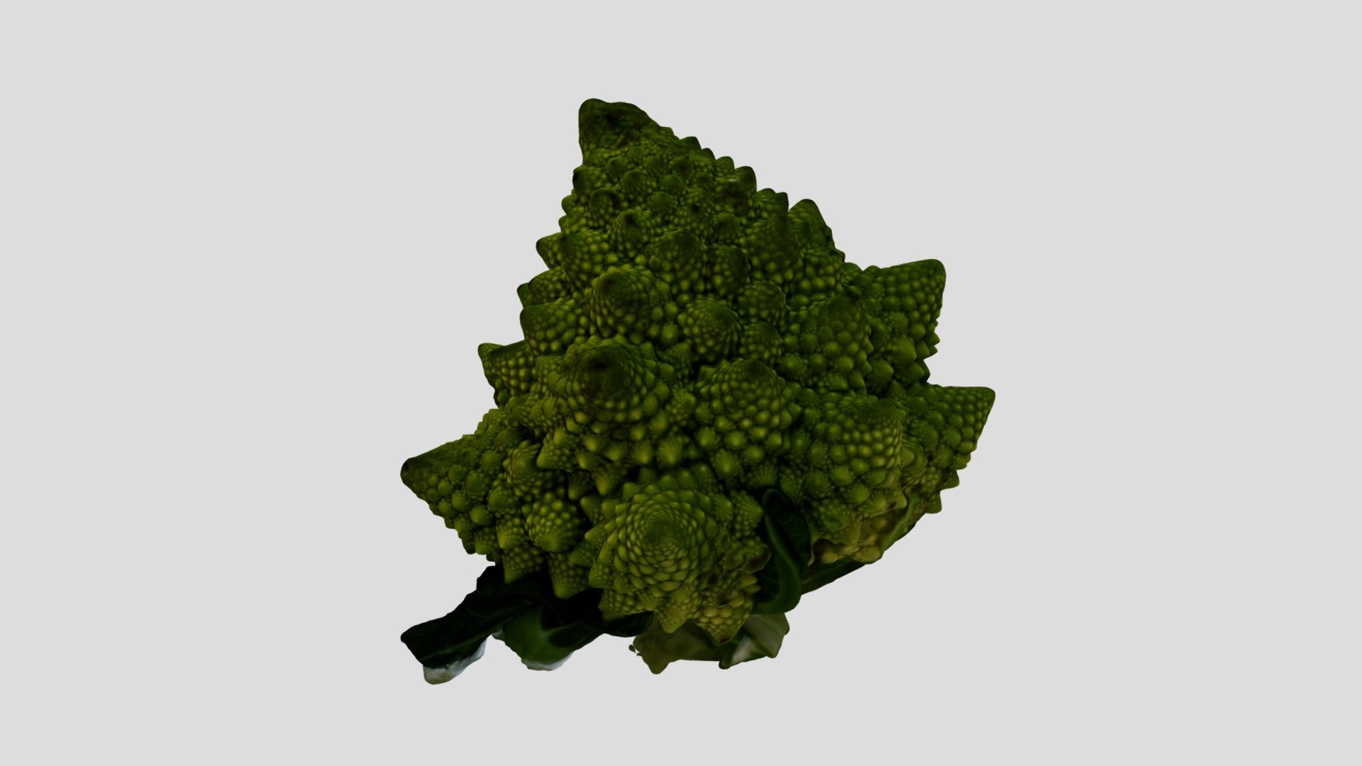 Broccolo Romanesco 02