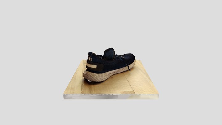 Shoe photogrammetry 3D Model